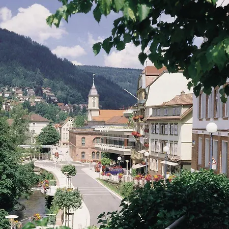 Apartment Relax Bad Wildbad